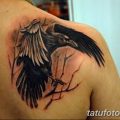 Фото тату ворон от 15.09.2018 №267 - raven tattoos - tatufoto.com