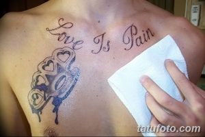 Фото татуировки кастетов, украшенных сердцами, с надписью 'Love Is Pain' на груди.
