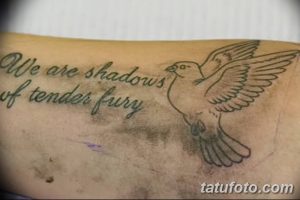 Фото татуировки с изображением летящей птицы и надписью "We are shadows of tender fury". Изящный шрифт и детализированное изображение птицы.