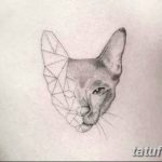 Фото тату линии от 17.09.2018 №207 - line tattoos - tatufoto.com