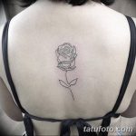 Фото тату линии от 17.09.2018 №335 - line tattoos - tatufoto.com