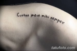 Фото татуировки на лопатке с латинской фразой 'Custos meus semper'. Черный шрифт, минималистичный дизайн.