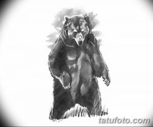 Фото тату с медведем от 12.09.2018 №064 - tattoo with a bear - tatufoto.com