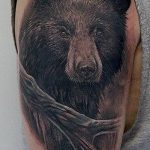 Фото тату с медведем от 12.09.2018 №156 - tattoo with a bear - tatufoto.com