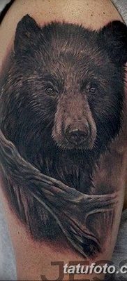 Фото тату с медведем от 12.09.2018 №156 — tattoo with a bear — tatufoto.com