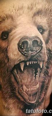 Фото тату с медведем от 12.09.2018 №169 — tattoo with a bear — tatufoto.com