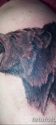 Фото тату с медведем от 12.09.2018 №183 — tattoo with a bear — tatufoto.com