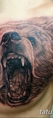 Фото тату с медведем от 12.09.2018 №204 — tattoo with a bear — tatufoto.com