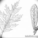 Черно-белый эскиз татуировки с детально прорисованным дубовым листом и пером. Реалистичный рисунок для ценителей сложных и выразительных тату.
