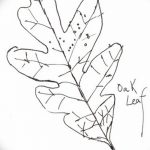 Черно-белый эскиз татуировки с изображением дубового листа и надписью "Oak Leaf". Рукописный шрифт придает рисунку индивидуальность и шарм.