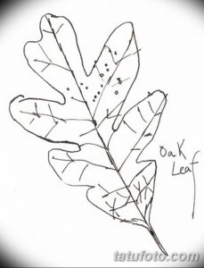 Черно-белый эскиз татуировки с изображением дубового листа и надписью "Oak Leaf". Рукописный шрифт придает рисунку индивидуальность и шарм.