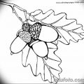 Фото эскиз тату лист дуба от 11.09.2018 №036 - sketch of tattoo oak leaf - tatufoto.com