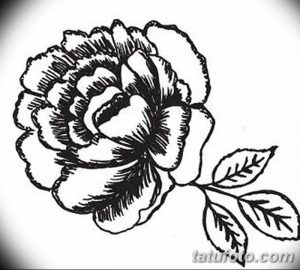 Фото эскизы тату камелия от 18.09.2018 №005 - sketches of camellia tattoos - tatufoto.com