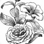Фото эскизы тату камелия от 18.09.2018 №006 - sketches of camellia tattoos - tatufoto.com