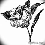 Фото эскизы тату камелия от 18.09.2018 №007 - sketches of camellia tattoos - tatufoto.com