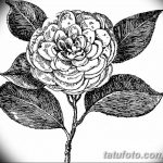 Фото эскизы тату камелия от 18.09.2018 №008 - sketches of camellia tattoos - tatufoto.com