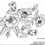 Фото эскизы тату камелия от 18.09.2018 №009 - sketches of camellia tattoos - tatufoto.com