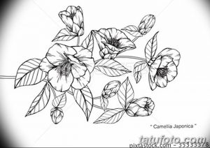 Фото эскизы тату камелия от 18.09.2018 №009 - sketches of camellia tattoos - tatufoto.com
