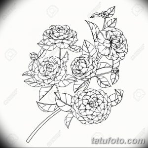Camellia flowers drawing and sketch with line-art on white backg