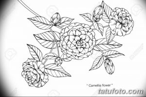 Фото эскизы тату камелия от 18.09.2018 №012 - sketches of camellia tattoos - tatufoto.com