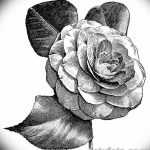 Фото эскизы тату камелия от 18.09.2018 №013 - sketches of camellia tattoos - tatufoto.com