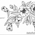 Фото эскизы тату камелия от 18.09.2018 №027 - sketches of camellia tattoos - tatufoto.com
