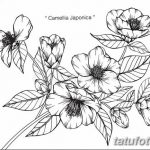 Фото эскизы тату камелия от 18.09.2018 №028 - sketches of camellia tattoos - tatufoto.com