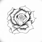 Фото эскизы тату камелия от 18.09.2018 №032 - sketches of camellia tattoos - tatufoto.com