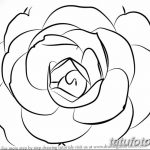 Фото эскизы тату камелия от 18.09.2018 №034 - sketches of camellia tattoos - tatufoto.com