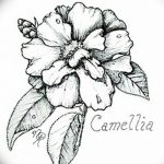 Фото эскизы тату камелия от 18.09.2018 №036 - sketches of camellia tattoos - tatufoto.com