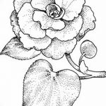 Фото эскизы тату камелия от 18.09.2018 №037 - sketches of camellia tattoos - tatufoto.com