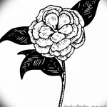 Фото эскизы тату камелия от 18.09.2018 №043 - sketches of camellia tattoos - tatufoto.com