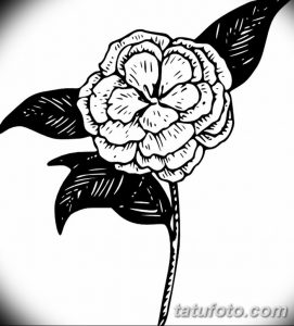 Фото эскизы тату камелия от 18.09.2018 №043 - sketches of camellia tattoos - tatufoto.com