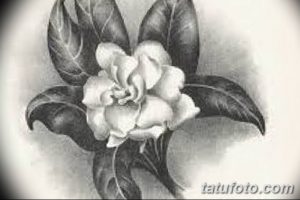 Фото эскизы тату камелия от 18.09.2018 №044 - sketches of camellia tattoos - tatufoto.com
