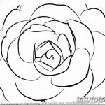 Фото эскизы тату камелия от 18.09.2018 №046 - sketches of camellia tattoos - tatufoto.com