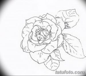 Фото эскизы тату камелия от 18.09.2018 №047 - sketches of camellia tattoos - tatufoto.com