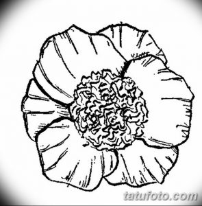 Фото эскизы тату камелия от 18.09.2018 №048 - sketches of camellia tattoos - tatufoto.com