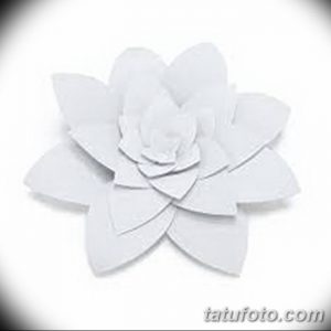 Фото эскизы тату камелия от 18.09.2018 №050 - sketches of camellia tattoos - tatufoto.com
