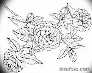Фото эскизы тату камелия от 18.09.2018 №053 - sketches of camellia tattoos - tatufoto.com