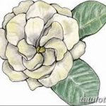Фото эскизы тату камелия от 18.09.2018 №055 - sketches of camellia tattoos - tatufoto.com