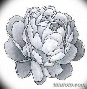 Фото эскизы тату камелия от 18.09.2018 №056 - sketches of camellia tattoos - tatufoto.com