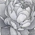 Фото эскизы тату камелия от 18.09.2018 №057 - sketches of camellia tattoos - tatufoto.com
