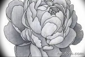 Фото эскизы тату камелия от 18.09.2018 №057 - sketches of camellia tattoos - tatufoto.com