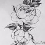 Фото эскизы тату камелия от 18.09.2018 №058 - sketches of camellia tattoos - tatufoto.com