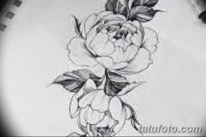 Фото эскизы тату камелия от 18.09.2018 №058 - sketches of camellia tattoos - tatufoto.com