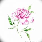 Фото эскизы тату камелия от 18.09.2018 №061 - sketches of camellia tattoos - tatufoto.com