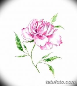 Фото эскизы тату камелия от 18.09.2018 №061 - sketches of camellia tattoos - tatufoto.com