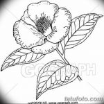 Фото эскизы тату камелия от 18.09.2018 №062 - sketches of camellia tattoos - tatufoto.com