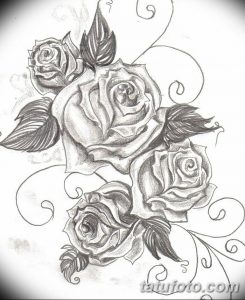 Фото эскизы тату камелия от 18.09.2018 №063 - sketches of camellia tattoos - tatufoto.com