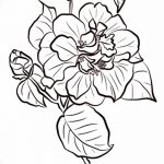 Фото эскизы тату камелия от 18.09.2018 №066 - sketches of camellia tattoos - tatufoto.com